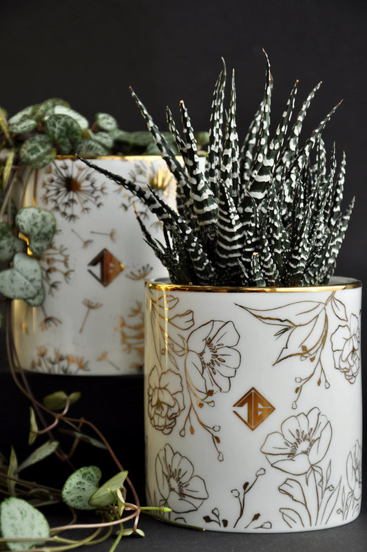 Pair of botanical fine bone china pots showcasing small indoor plants
