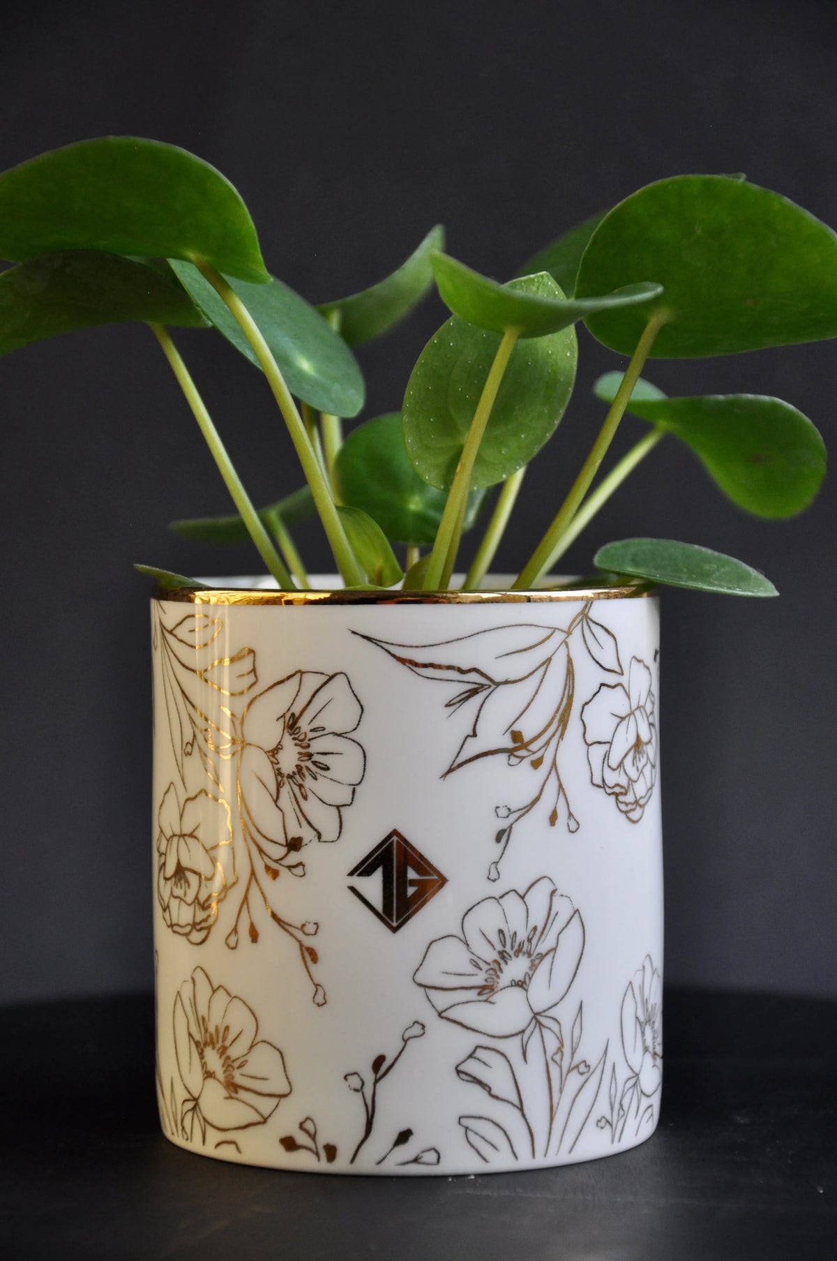 Blossom fine bone china pot used as a decorative container for a small houseplant