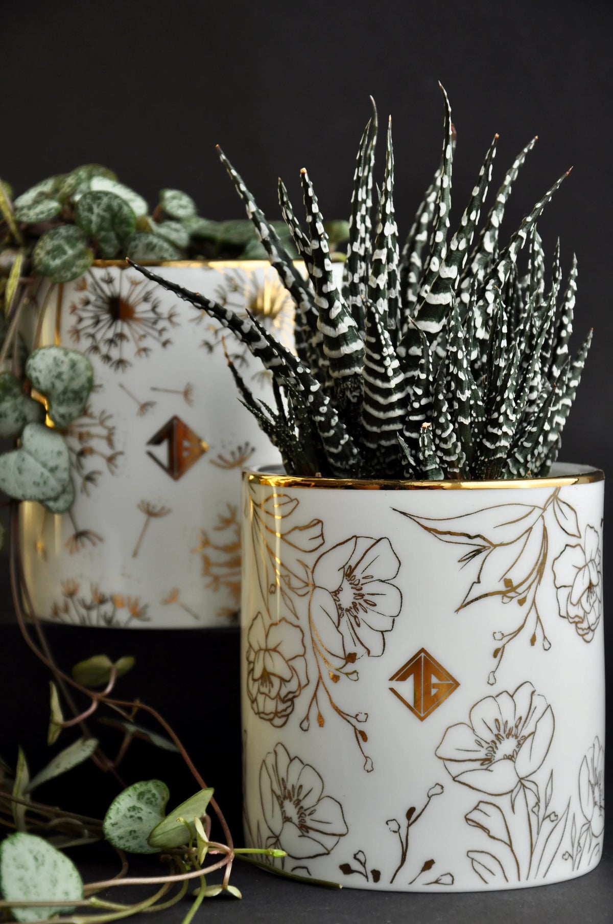 Pair of botanical fine bone china pots showcasing small indoor plants