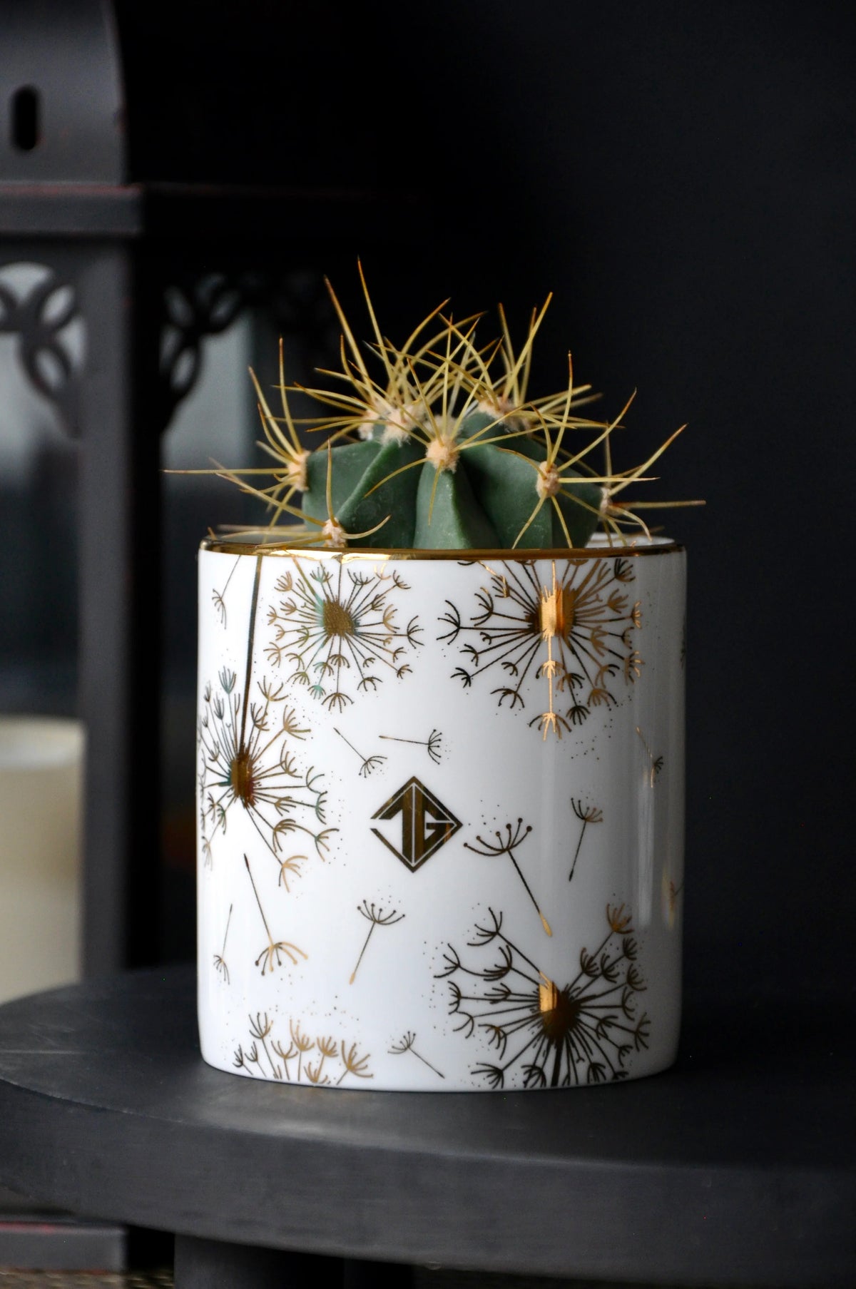 Dandelion fine bone china pot styled as a mini succulent cachepot