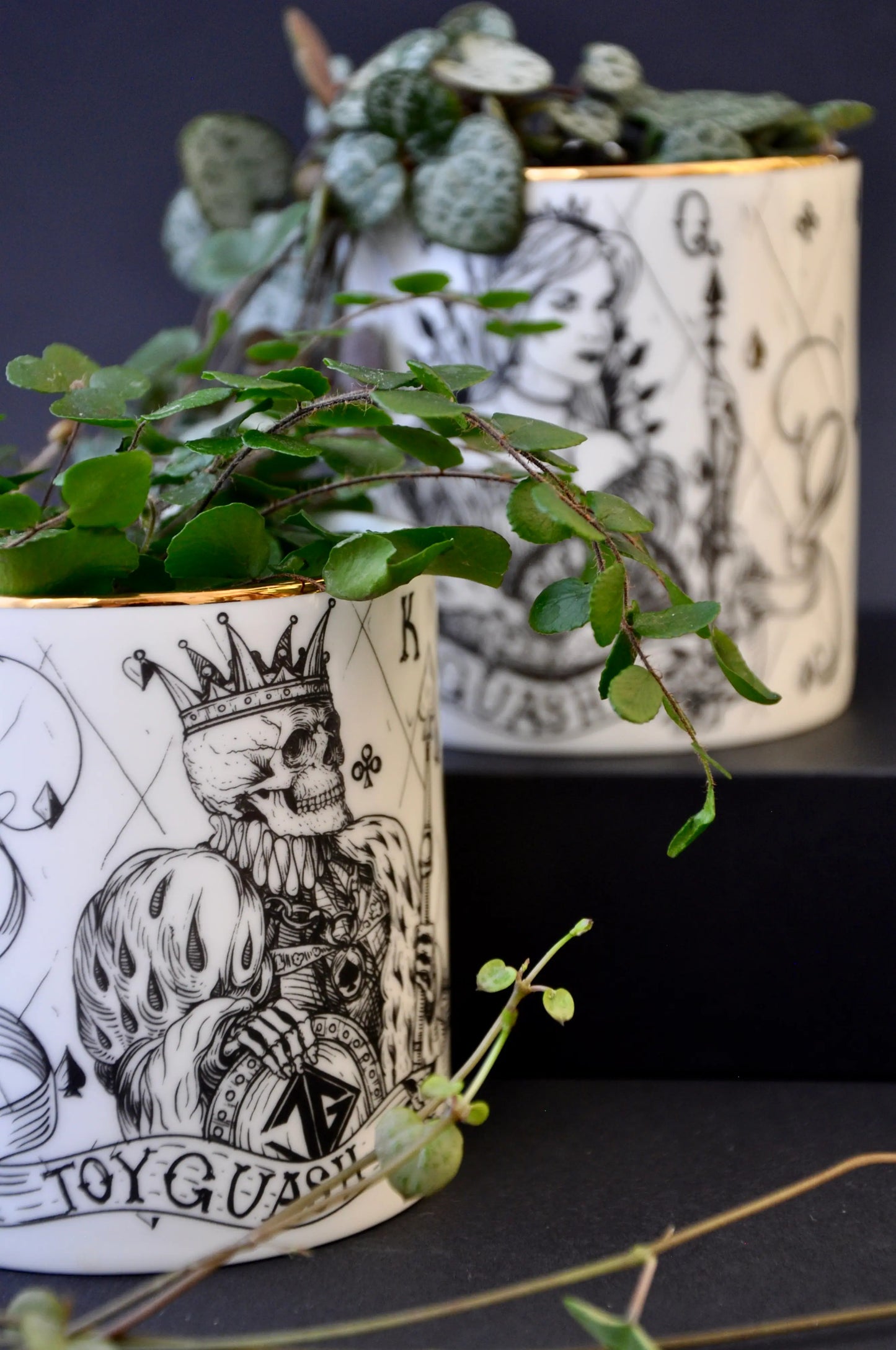 Pair of luxury fine bone china pots styled together as small plant cachepots