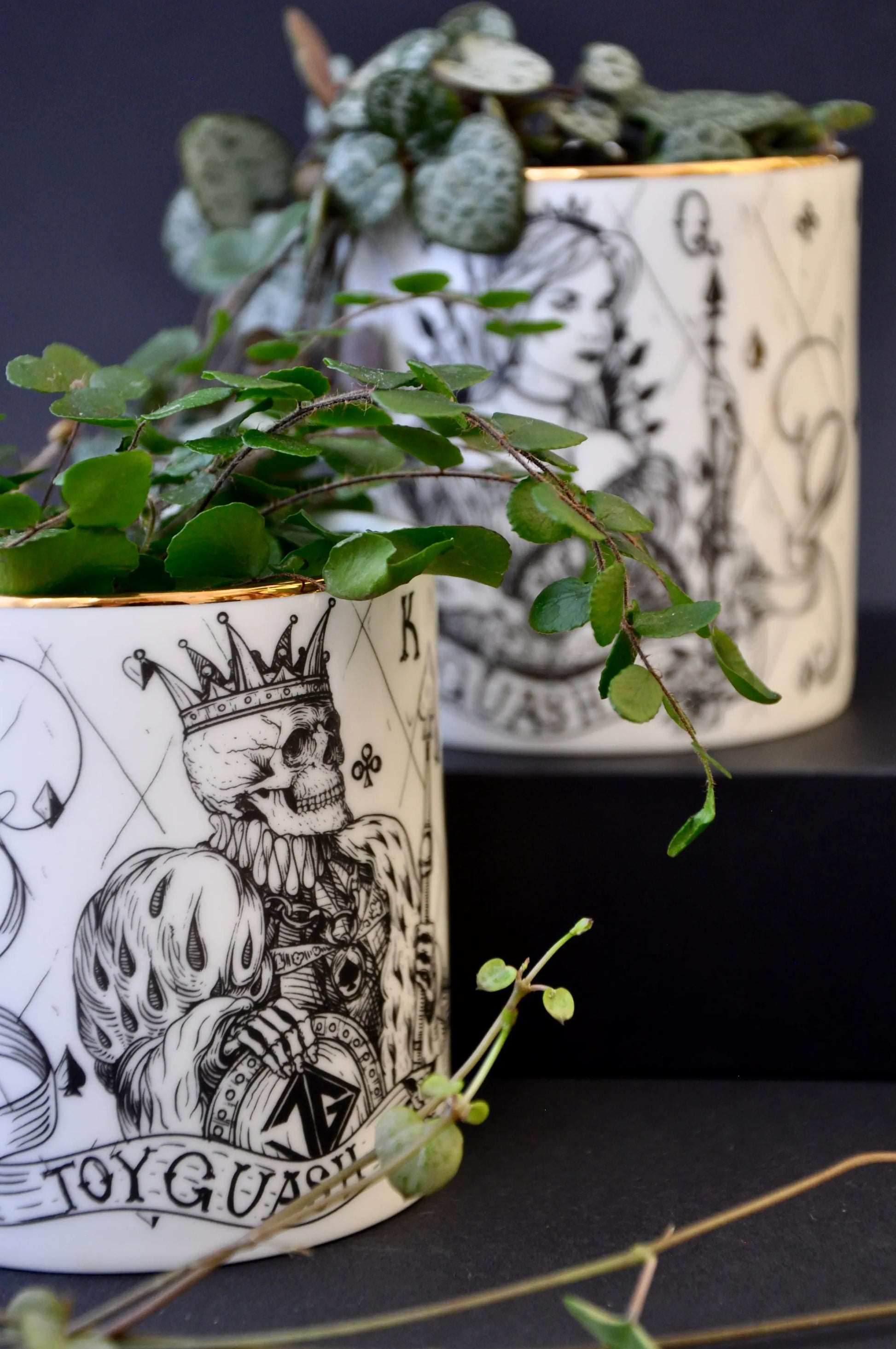 Pair of luxury fine bone china pots styled together as small plant cachepots